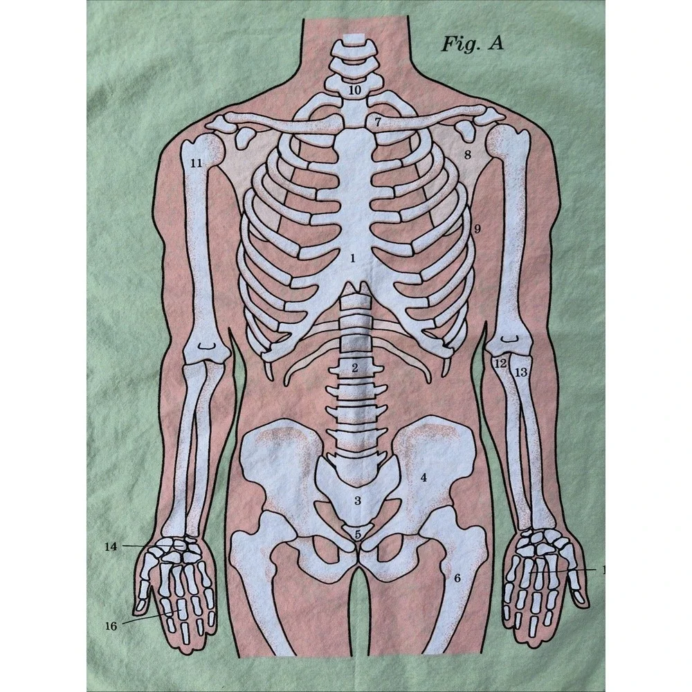 Life of Jay Green Skeleton Anatomy 100% Cotton Dish Hand Tea Towel Kitchen Decor